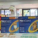 맑은온누리약국 이미지