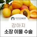 아이조은동물병원 이미지