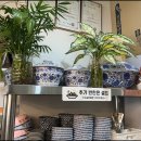 소정탕수육 이미지