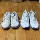 지호네신발종합 백화점 | 크로스핏 신발, 나이키 메트콘9 • 프리메트콘6 / 크린이의 크로스핏 운동화 구매기! (착화감, 사이즈...