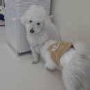 서울댕입구 이미지