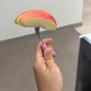 르노코리아서비스코너풍동점 | [2025/09/21~09/30] 일산 굿바이 (나이트런/김포이사/퇴직)