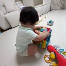 이마트24속초시립박물관점 | 속초 장난감 도서관 첫 방문! 준비물 대여 수량 주차 팁 총정리