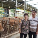 현우농장 이미지