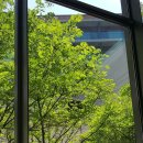 현대하이비젼 이미지