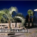 베이글연구소&스테이 네이버블로그