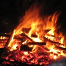 모닥불 이미지