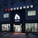 마음반려 동물의료원 이미지