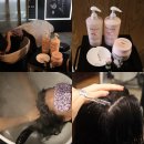 청담에비뉴제네시스 (청담에비뉴2동) | 케라스타즈 헤드스파 제네시스 리추엘 두피관리 청담동미용실두피케어 with 에비뉴준오 동휘쌤