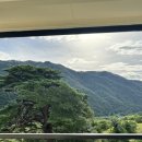 설악호텔 미송 이미지