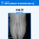 신창동물병원 이미지