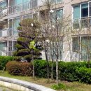 진산로66번길 이미지