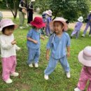 나무와새어린이집 이미지