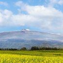 신상4어린이공원 이미지