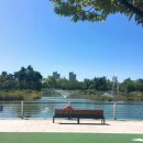 김현기농장 | "예수그리스도후기성도교회 몰몬교를 말하다"시사매거진 기사