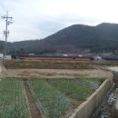 정도농장 이미지