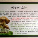 버섯골 이미지