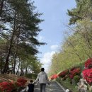 문수양궁장(주말,하절기) | 울산시립문수궁도장 활쏘기 체험 / 가격 주차 강습 이용후기