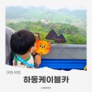 카페이안퀸덤 | 하동가볼만한곳 하동케이블카 남해 여행 코스로 다녀온 후기