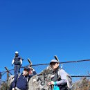 장산억새밭 이미지