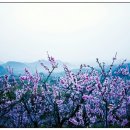 월등보건지소 이미지