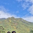 해인사 소리길 이미지