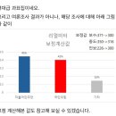 2030세대서 정당 지지율 ‘요동’…청년이 본 민주당 지지율 침체 원인은 이미지