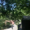 헬로우힐연인산캠핑장 - 1047 | 헬로우힐연인산캠핑장