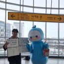 스쿨하이 서울일보