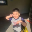 한국체대 엘리트 태권도장 이미지