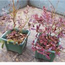 전주농장 이미지