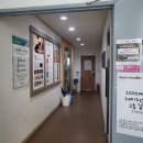 데이지스튜디오 | 데이지 스튜디오 봄 웜톤 컨셉 프로필 사진 내돈내산 후기