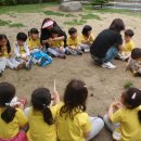 금병초병설유치원 이미지