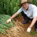 인의농장 이미지