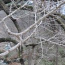 천태산주차장 이미지