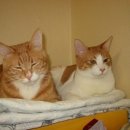 삼일아파트 남자 이미지