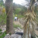 모네정원 이미지