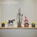 아띠랑스 이미지