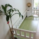 여름식물 인테리어 이미지