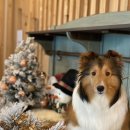 서울종합동물병원방배 이미지