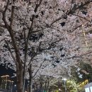 GS25광교센트럴 이미지