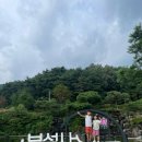 선묘풍경 | 영주 부석사 여행 후기｜무량수전까지 걸어본 가족여행 후기