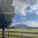 유빈노래연습장 이미지