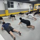 팀크로우 MMA 이미지