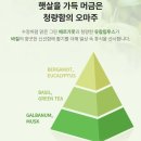 헤어지지마 이미지