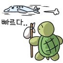 영동건강(주)() - 10460 | 영동건강(주)()