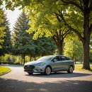 행정사 김문환사무소 이미지