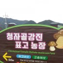 박진농장 이미지