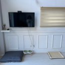 개가사는그집 이미지