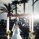 에스피모터스 이미지